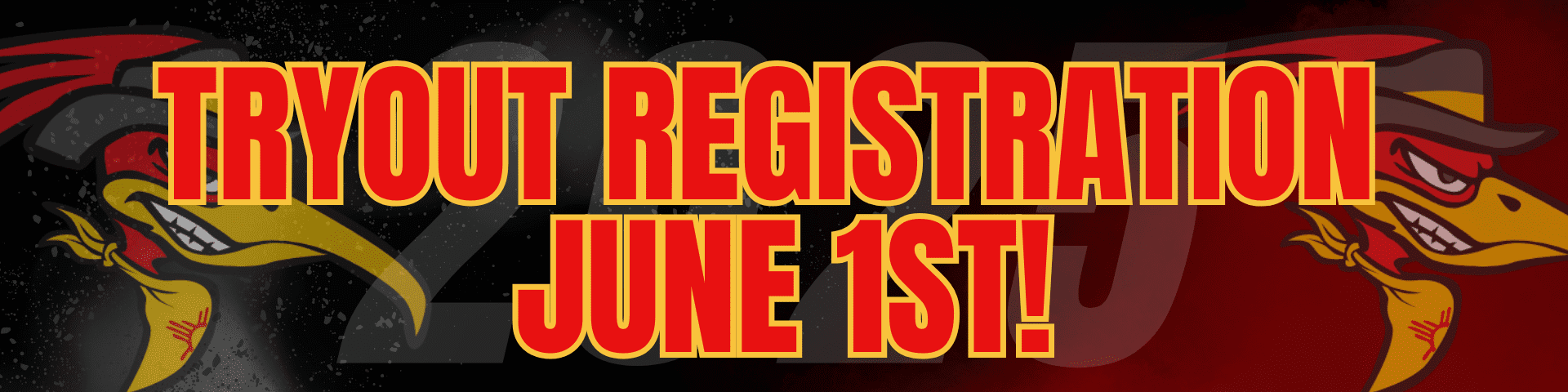 Tryout information